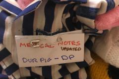 Dur Pigs updated medical notes