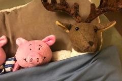 Christmas Pig & Rudyard